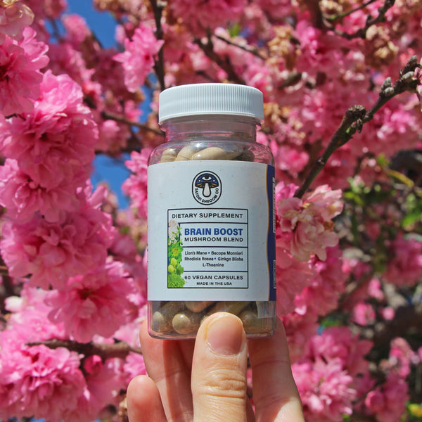 Brain Boost capsules in front of a cherry blossom tree