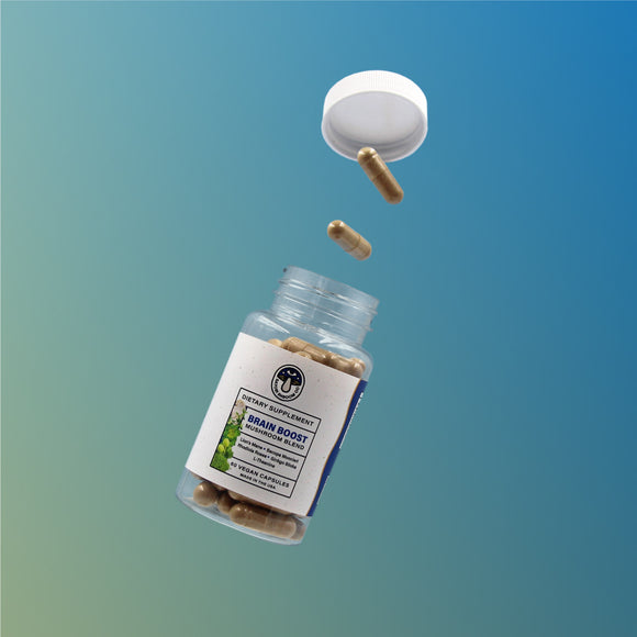 Satori Shroom Co. Brain Boost Mushroom Blend Capsules Floating Bottle Square Image With Gradient Background.