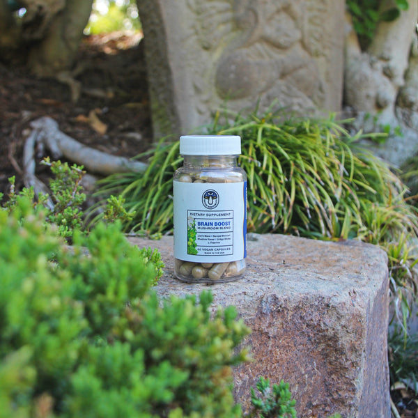 Satori Shroom Co's Brain Boost sitting on rock in a Japanese zen garden