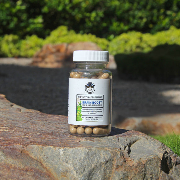 Satori Shroom Co. Brain Boost Mushroom Blend Capsules Sitting On Rock Lifestyle Nature Image