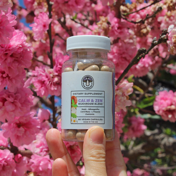 Calm & Zen capsules in front of a cherry blossom tree