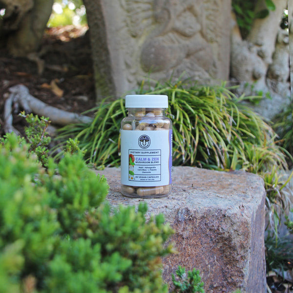 Satori Shroom Co's Calm & Zen sitting on rock in a Japanese zen garden
