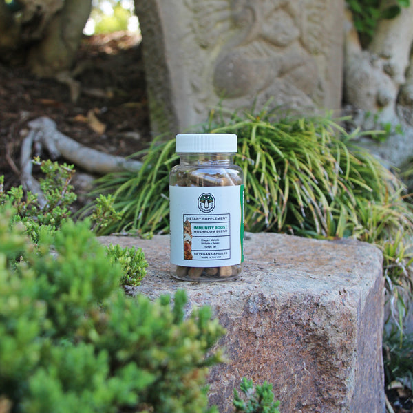 Satori Shroom Co's Immunity Boost sitting on rock in a Japanese zen garden