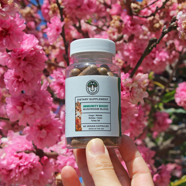 Immunity Boost capsules in front of a cherry blossom tree