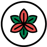 Satori Shroom Co. Mushroom Blend Capsule Products Are Organic and Sourced From Real Mushrooms in Canda