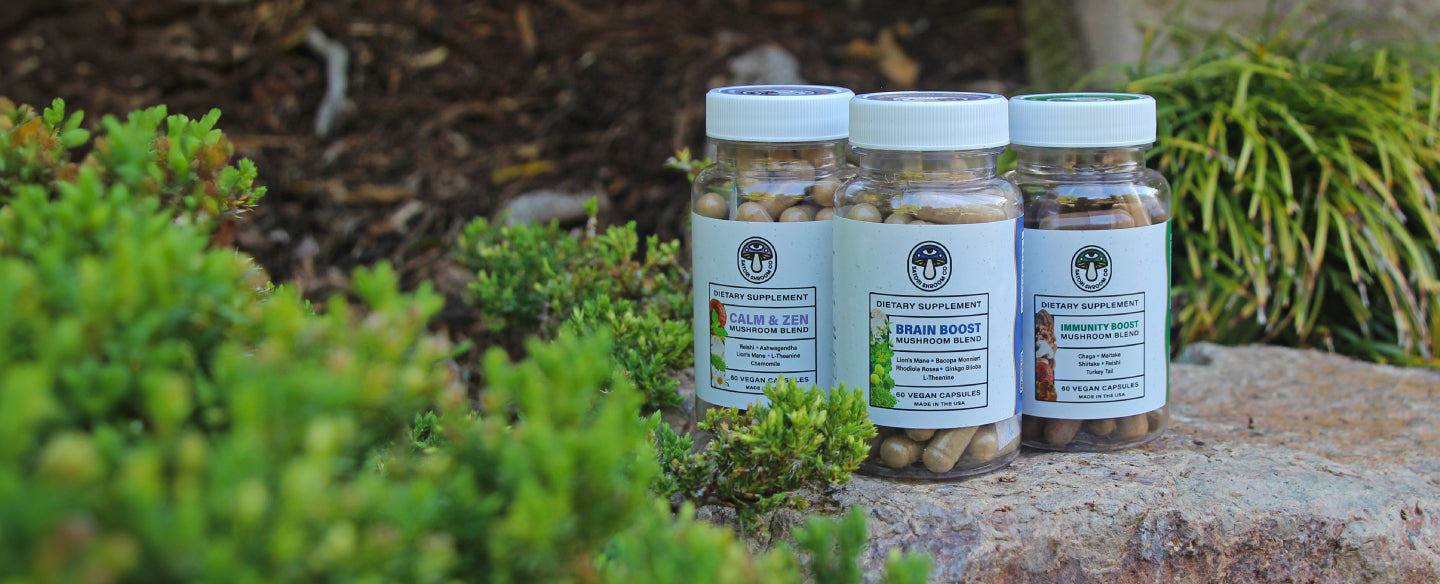 Satori Shroom Co. Mushroom Blend Capsule Products Showcased In Zen Garden - Desktop View Image